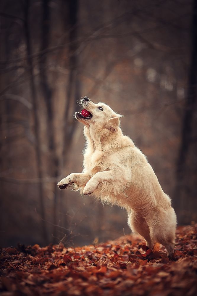 Photograph by Елена Сафронова