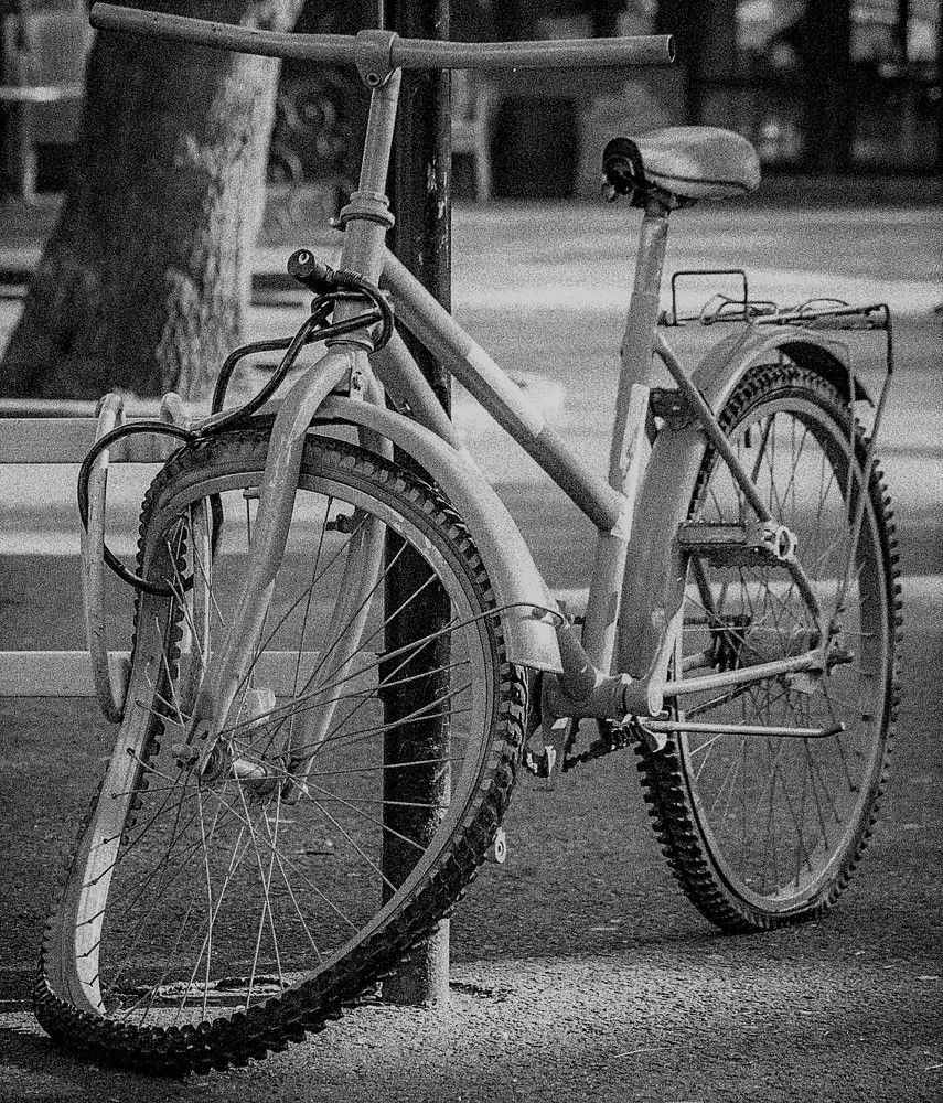 Photograph by Polina Sharapova