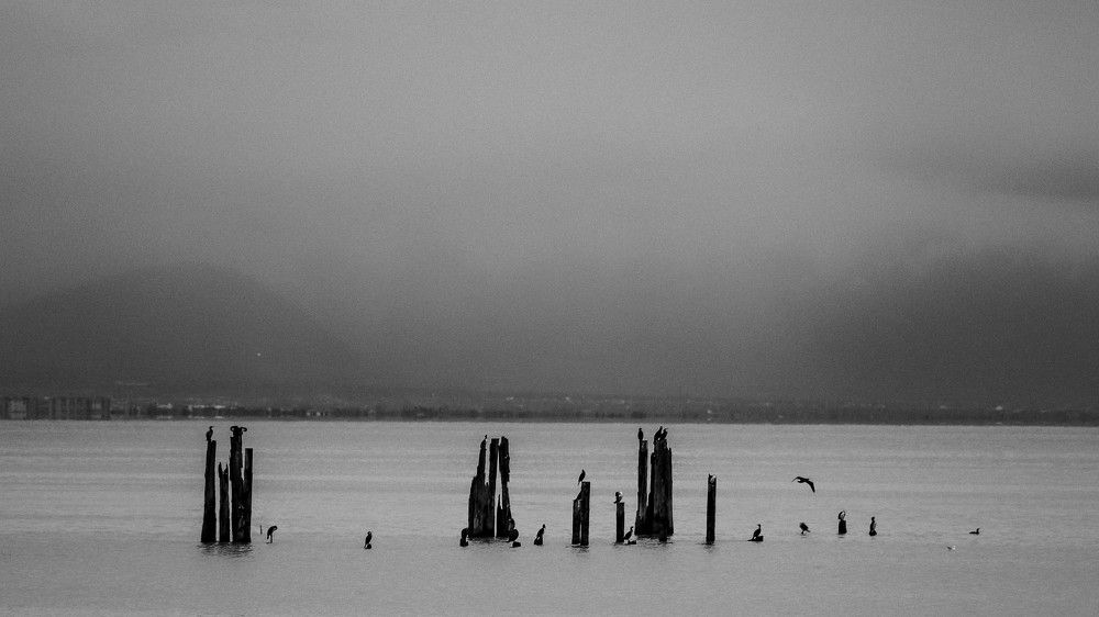 Photograph by Maryam_zia