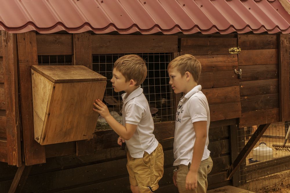 В поисках мохнатых друзей