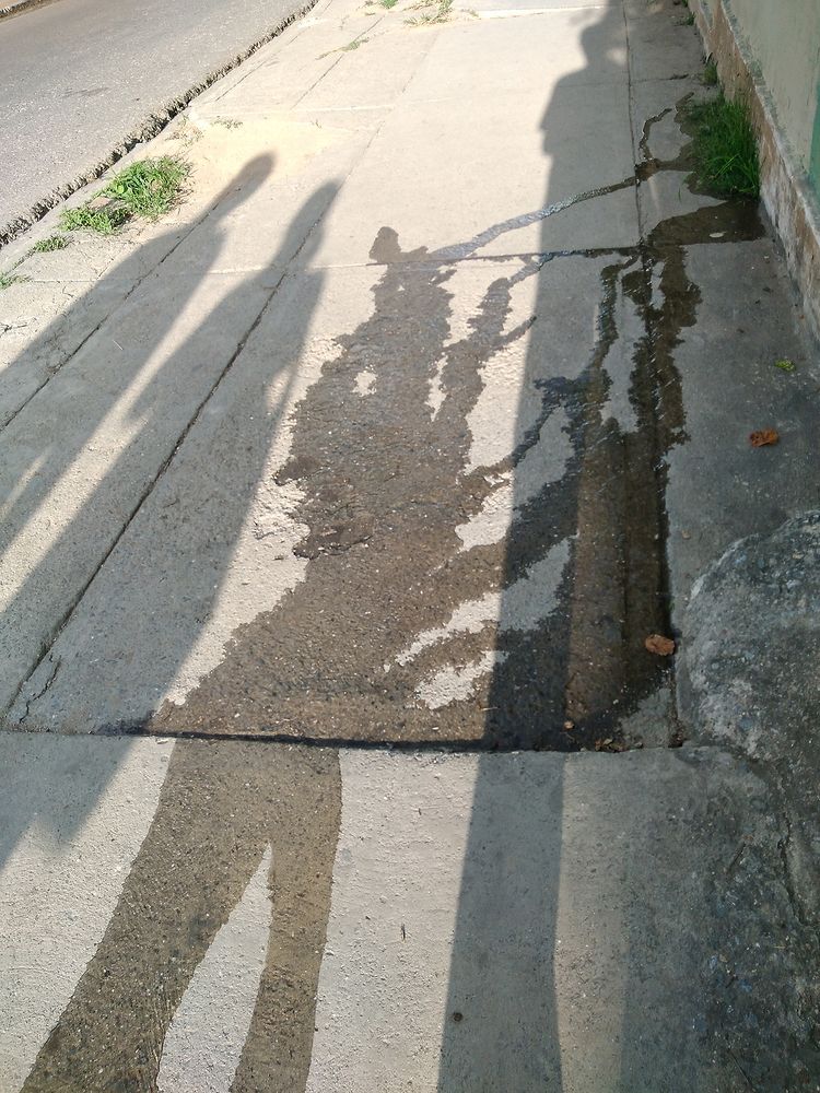 Sidewalk monster