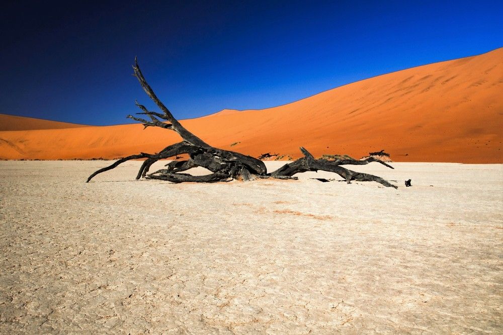 Инопланетный пейзаж