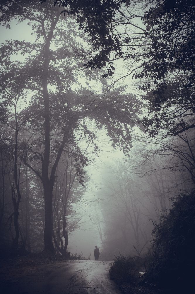 Journey Towards the brightness