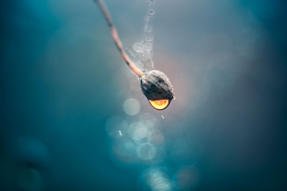 Капля света