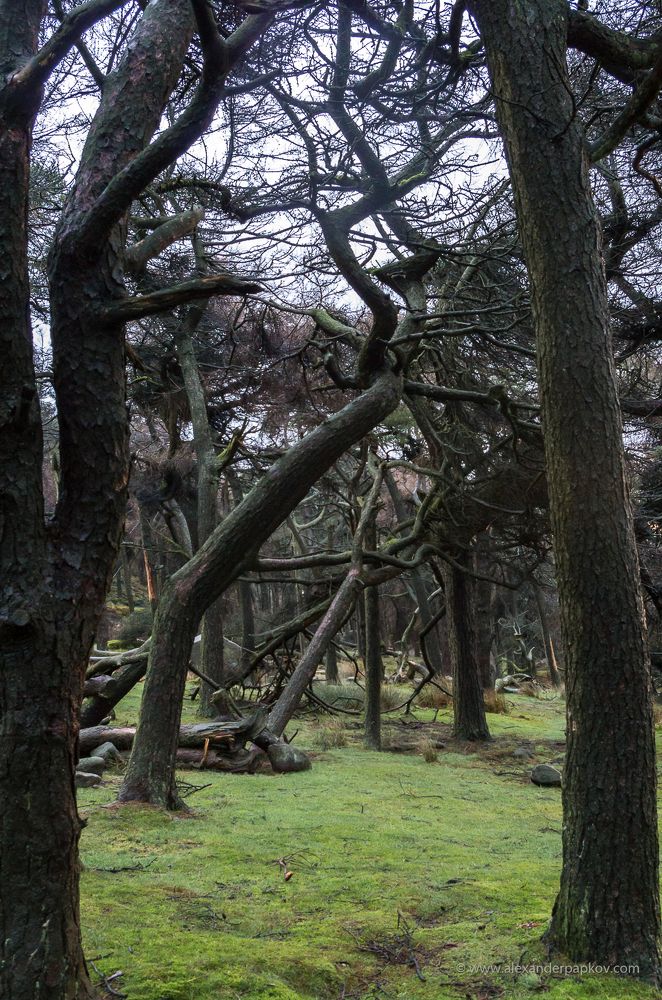 Вход в другой мир.