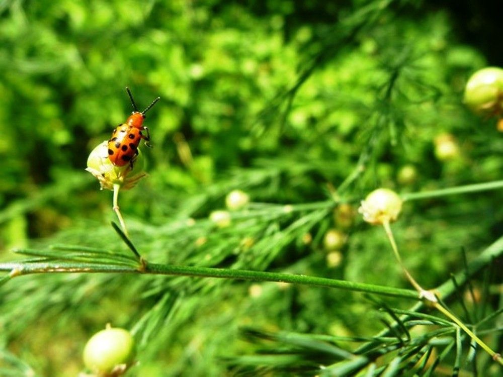 К старту готов