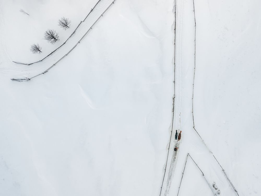 Ecologically friendly