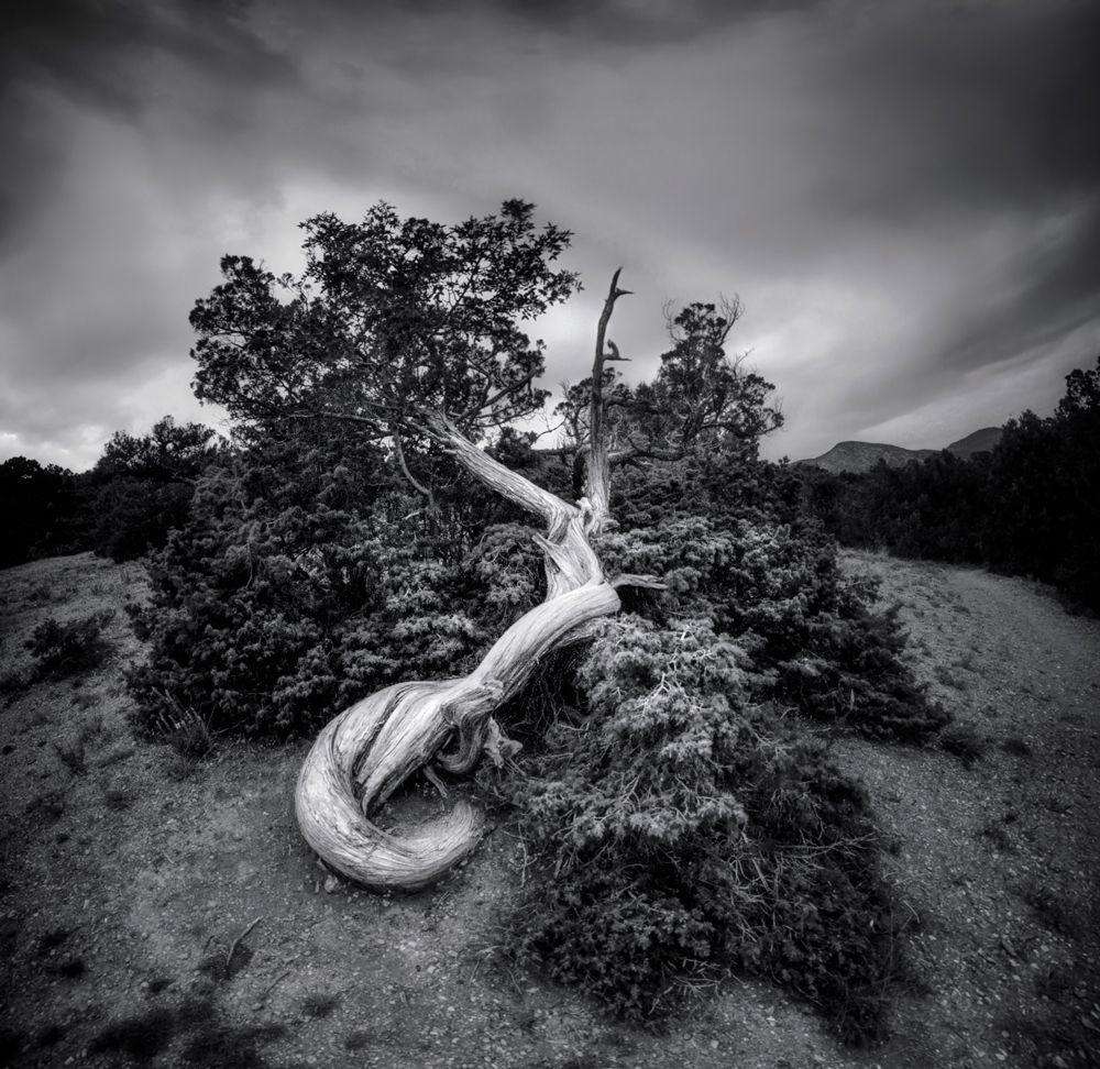 Лунный Змей