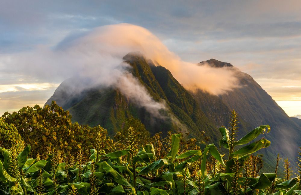 Под покрывалом белых облаков