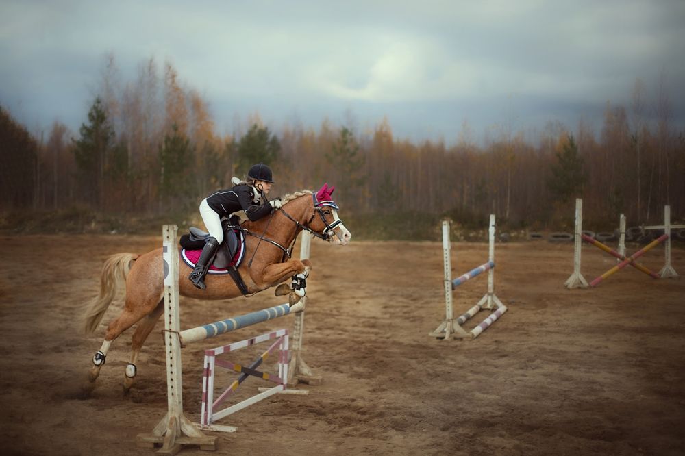 Photograph by Марго Лимп