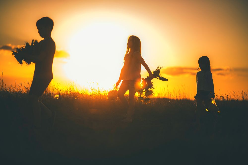 Дорога домой