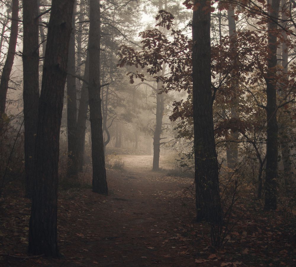 Тропинками утренего парка.