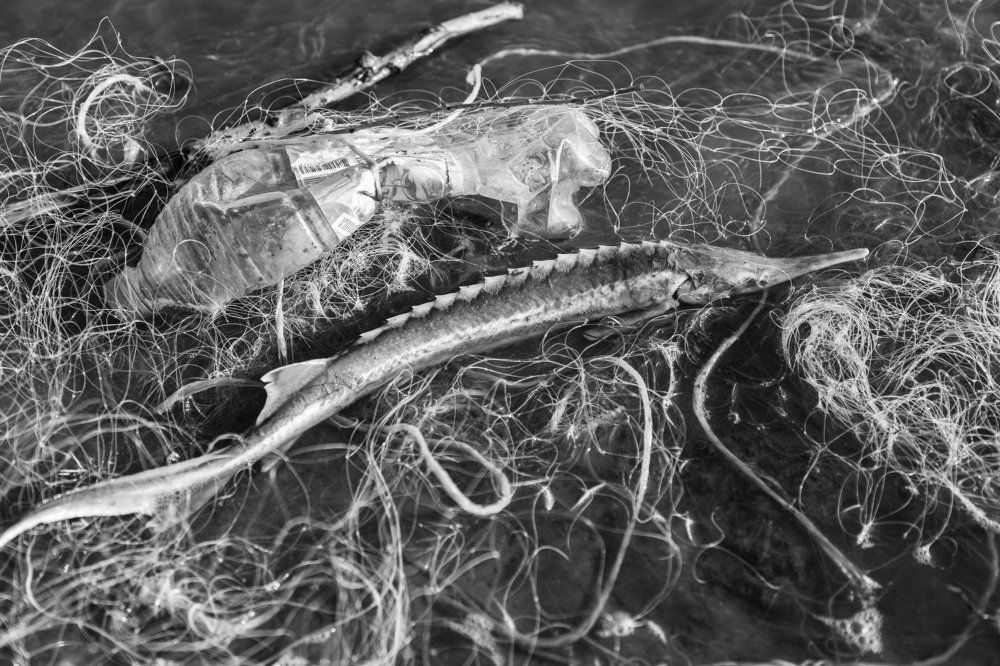 Человеческая алчность