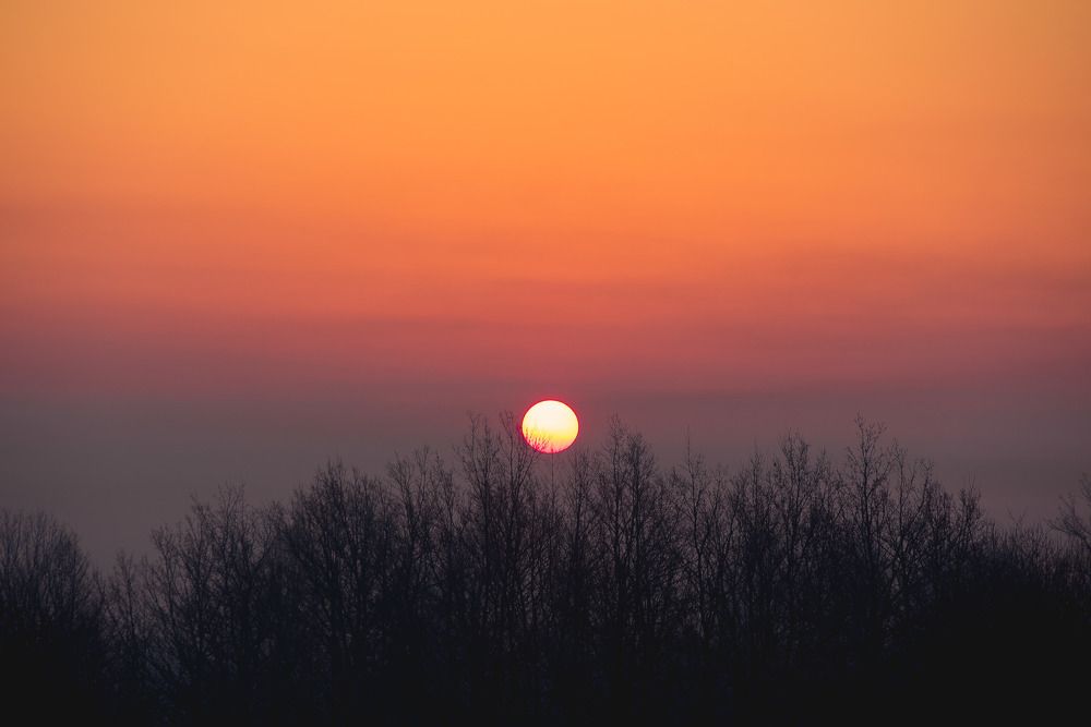 New day new opportunities