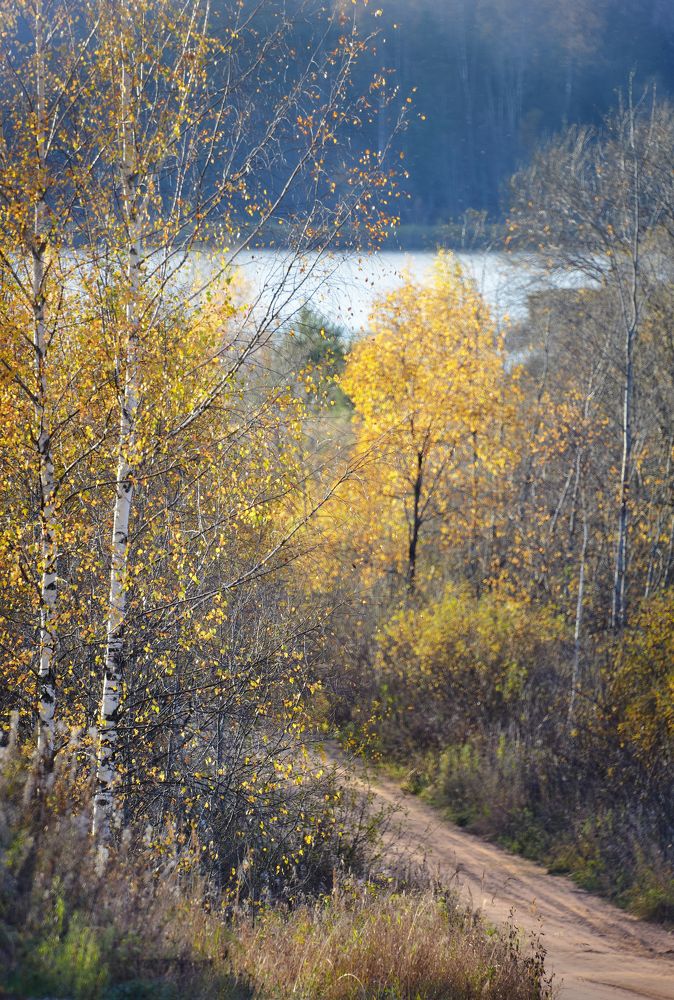 По дороге из Ивантеево в Миробудицы