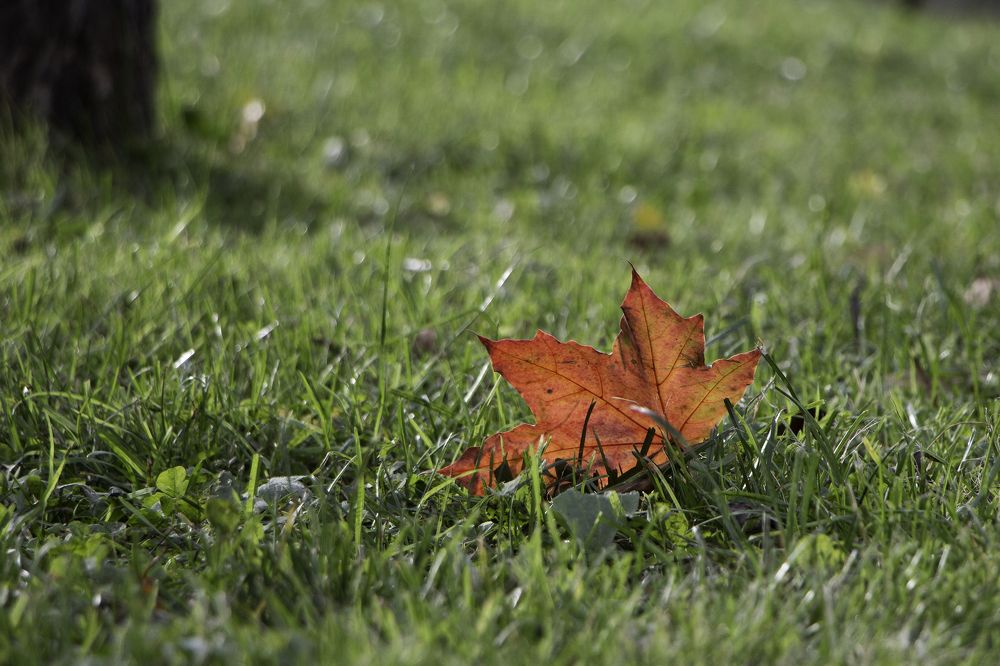 Photograph by Marina