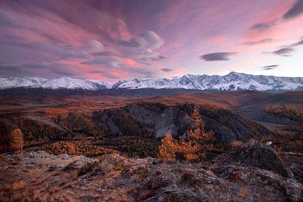 Курайский вечер