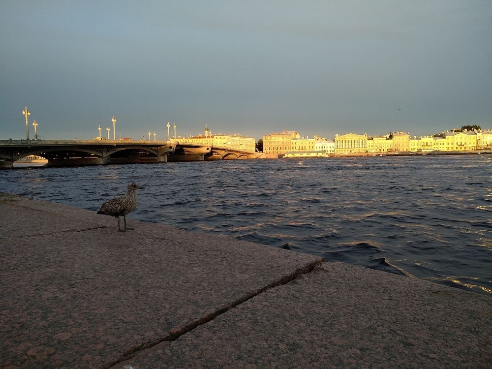 Смотритель города.