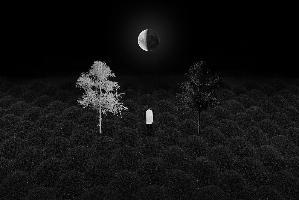 Royal World - Choose