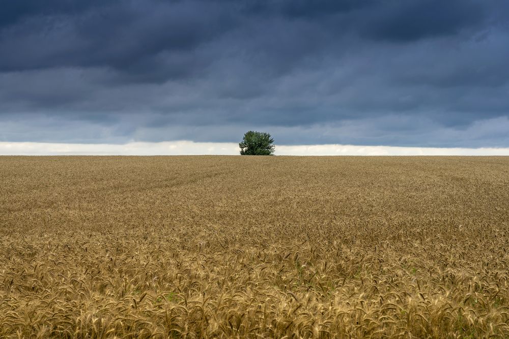 Photograph by Игорь Кляхин