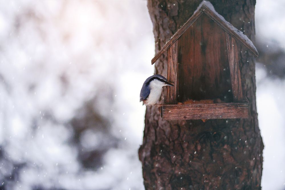 Photograph by Анастасия Корбут