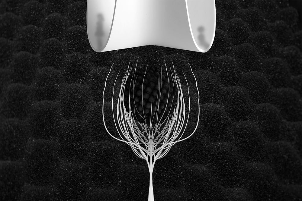 Royal World - Forgotten love