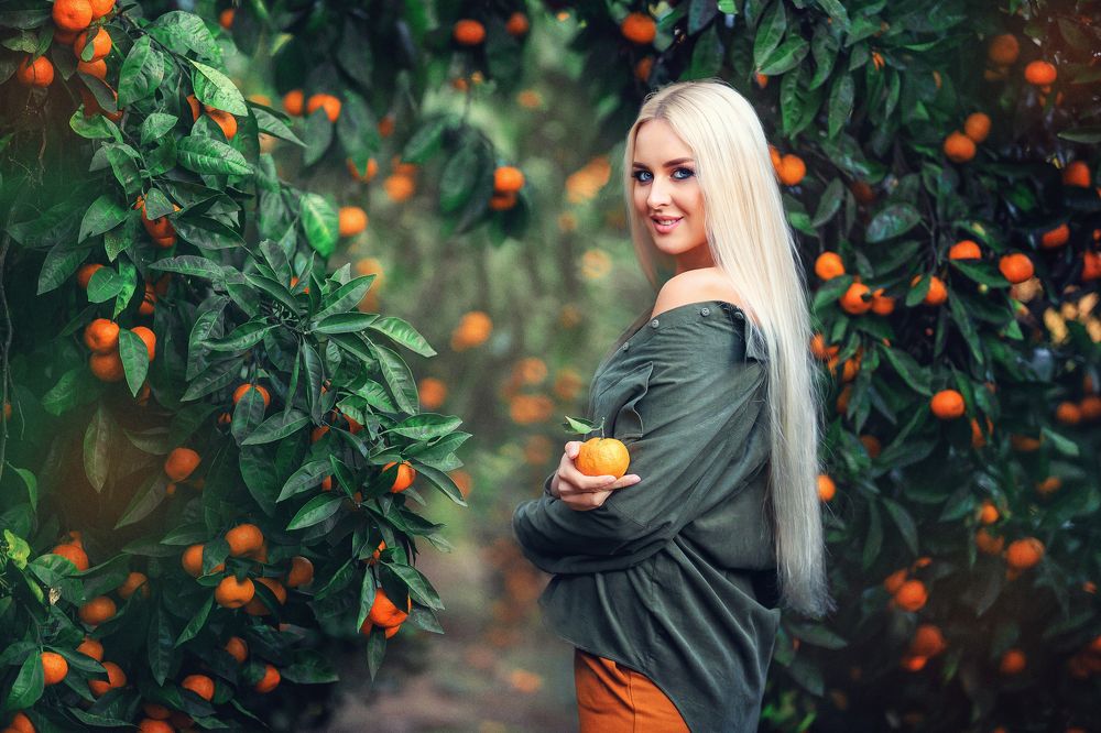 мандариновый сад