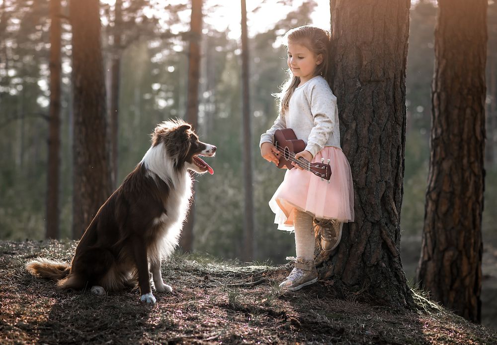 Лесной романс