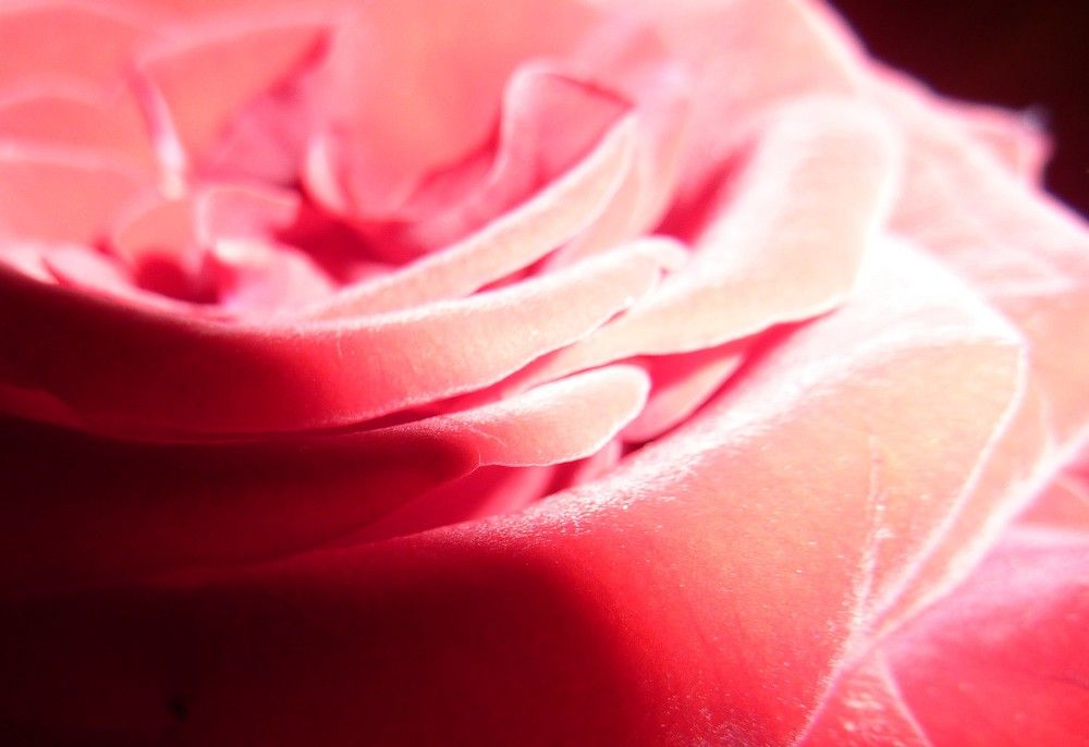 Photograph by Виктория Светлова