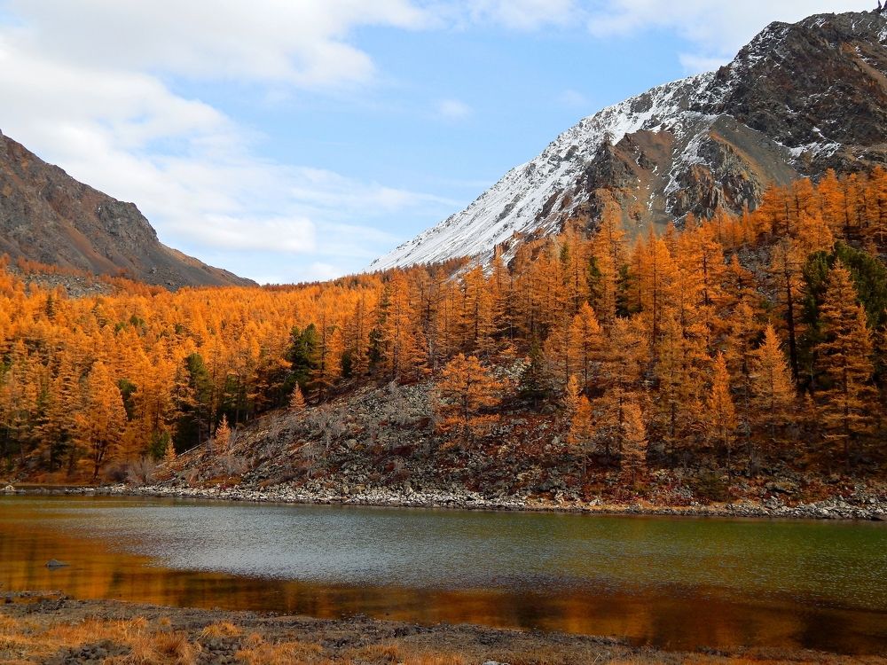 Photograph by Анастасия