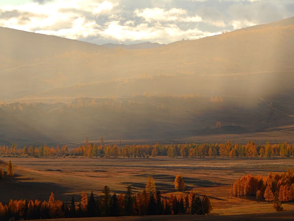 Photograph by Анастасия