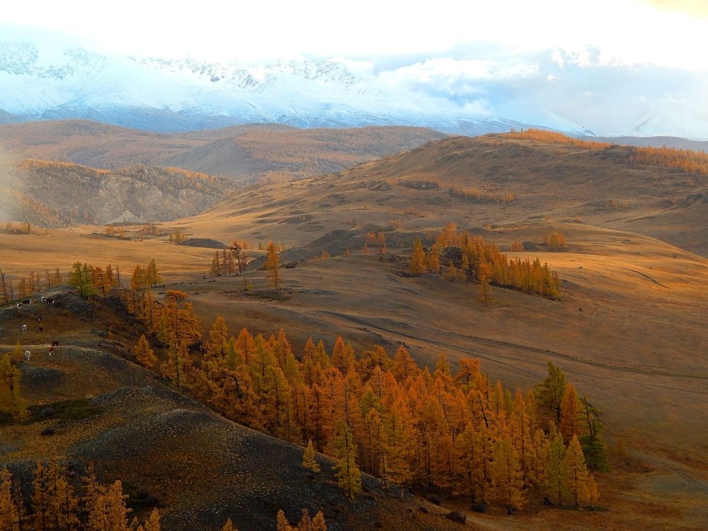 Photograph by Анастасия