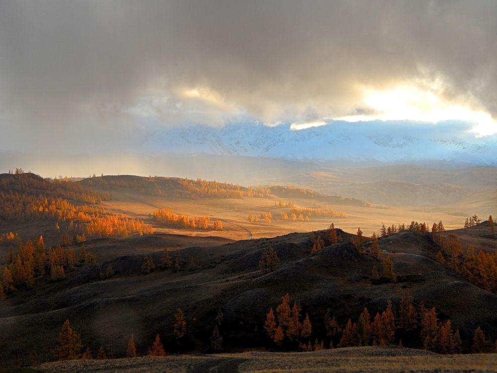 Photograph by Анастасия