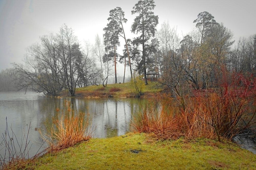 Хмурый день