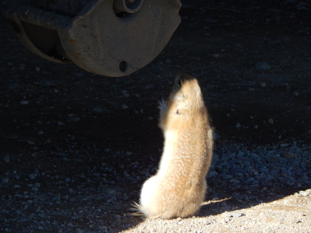 Photograph by Анастасия