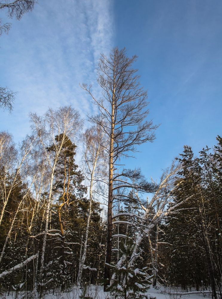 Photograph by Сергей Юрков