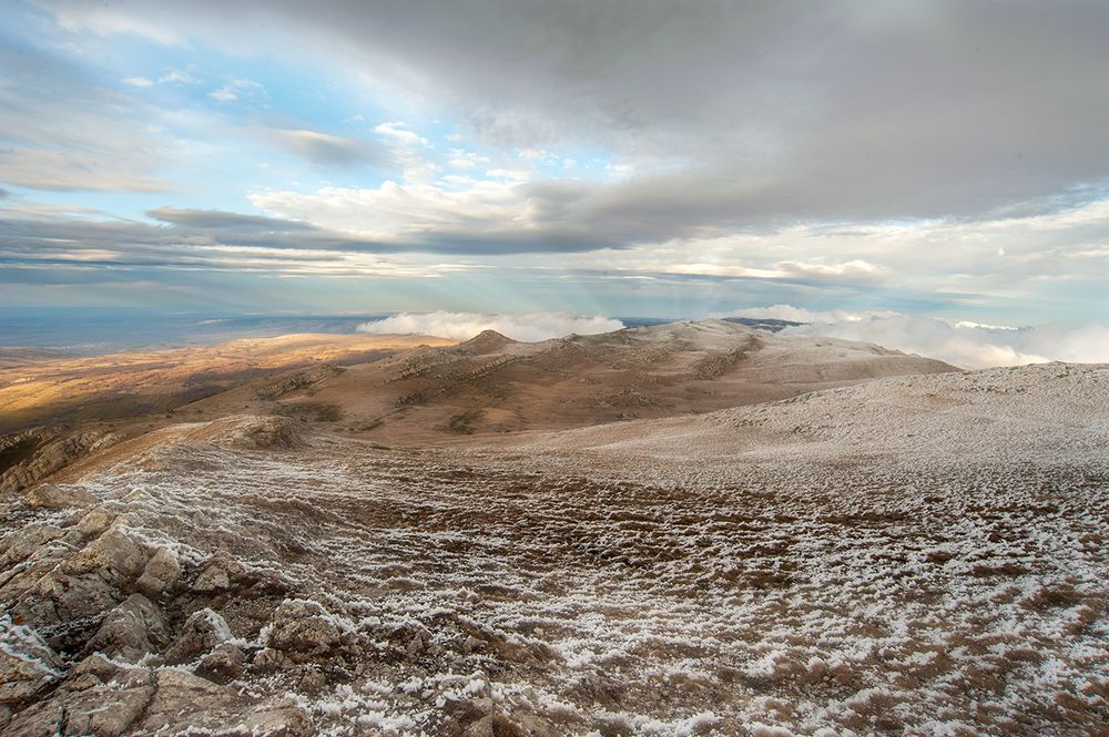 Противоположные лучи