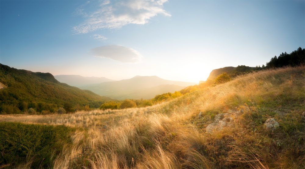 Нежный ковыль