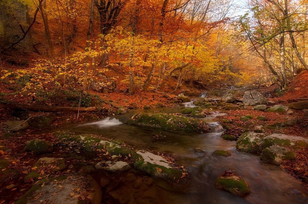 Золотая осень