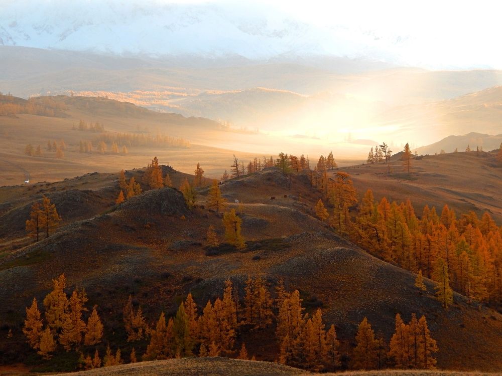 Photograph by Константин