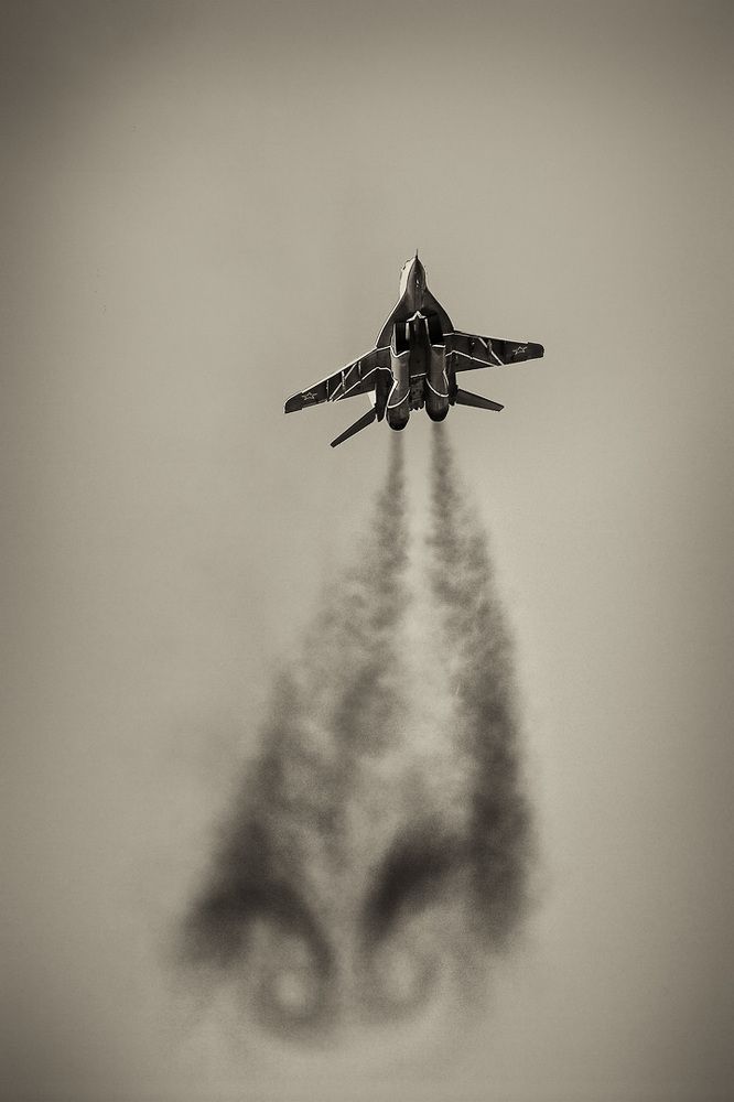 Птица коптильного полёта