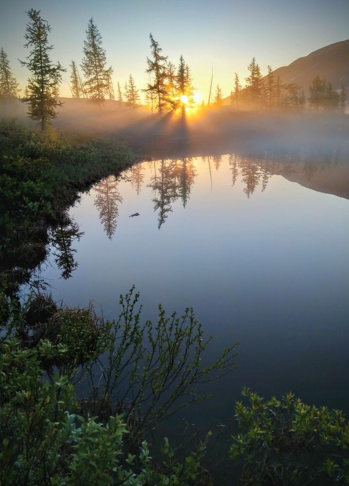 Вечерняя тишина