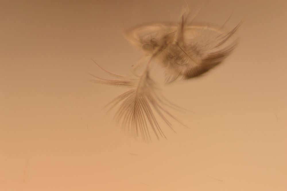 Танец отчаяния