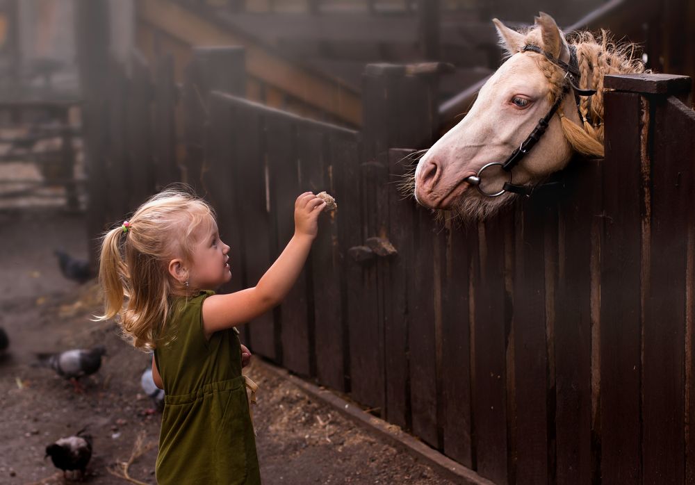 Photograph by Ксения Николаева