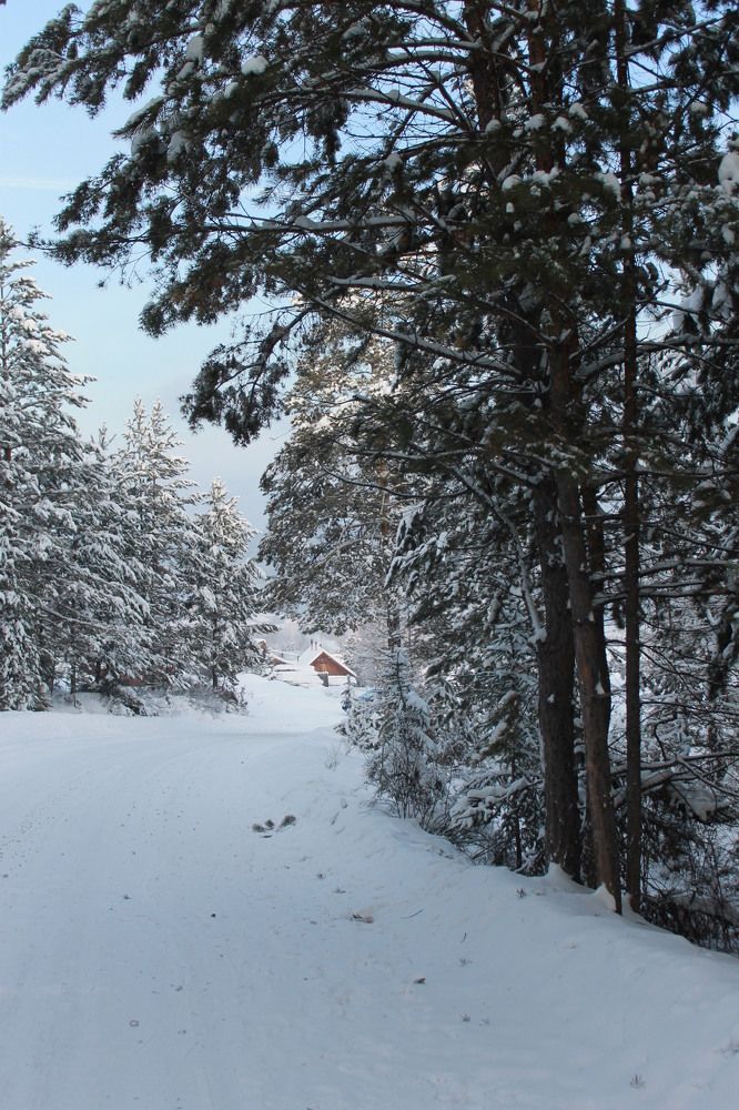 Дорога домой