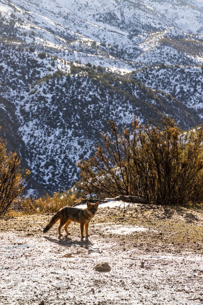 Photograph by Alejandra Collarte