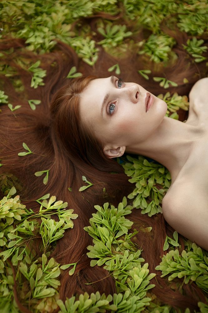 Опавший клен