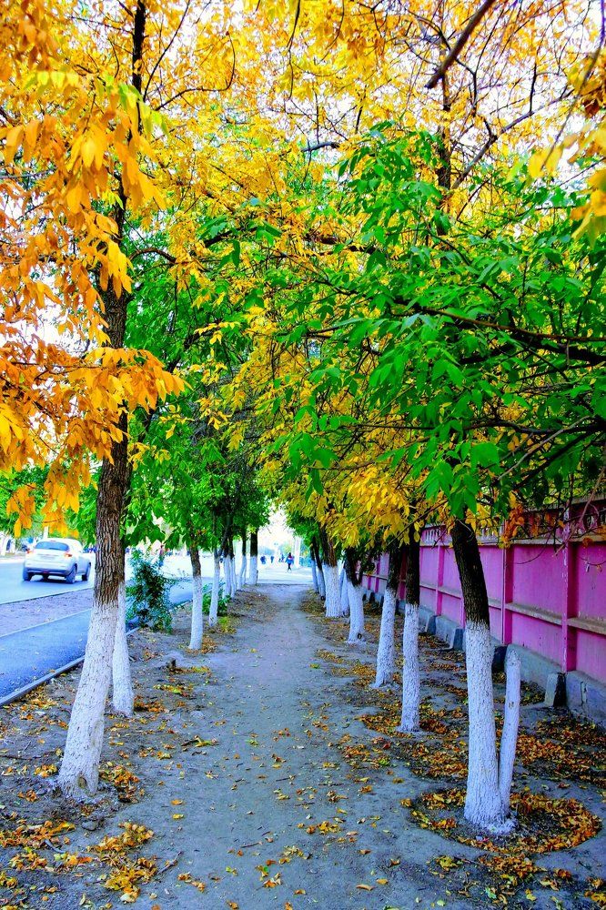 Краски осени