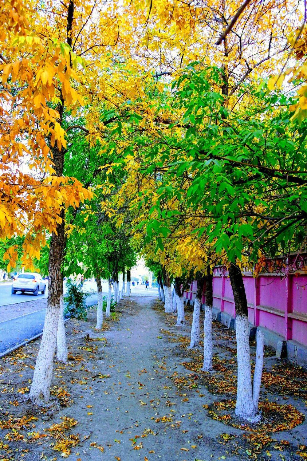 Краски осени