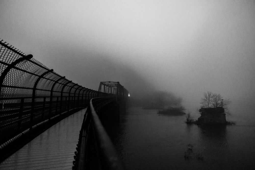 Into The Fog